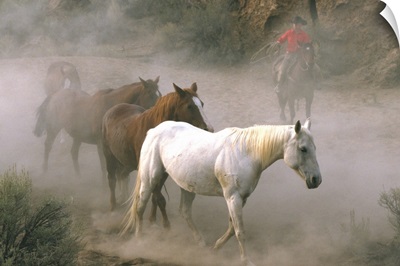 Wrangler With Horses