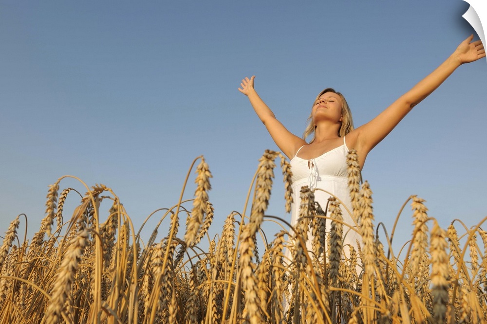 Young woman in corn field with spread arms looking up.