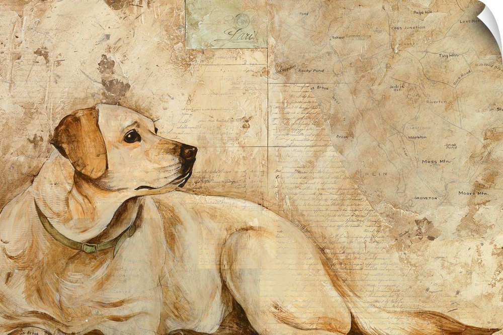 Artwork of a large dog that is drawn and almost blends in with the background that he lays in front of.