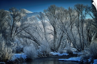 Bear River Winter