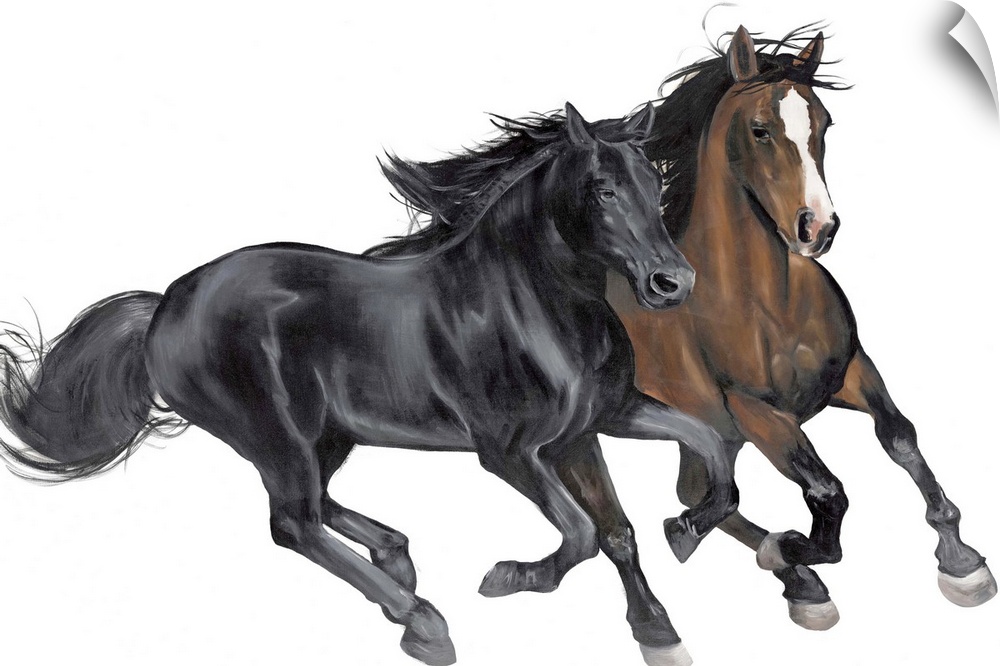 Contemporary painting of a black and brown horse galloping on a solid white background.