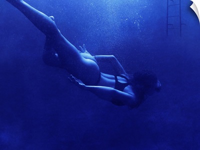 Blue Swimmer 1