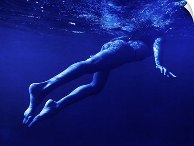 Blue Swimmer 2