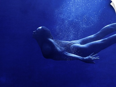 Blue Swimmer 3