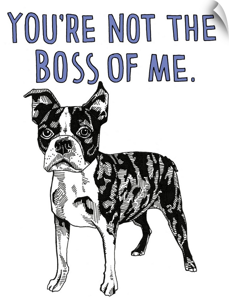 Black and white illustration of a boston terrier with the phrase "You're Not the Boss of Me" handwritten in blue at the top.