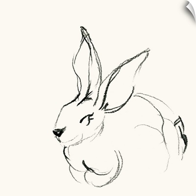 Bunny 4