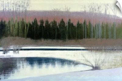 Cedars and Brook - Winter