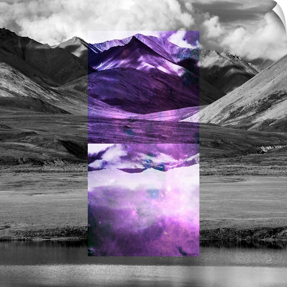 Black and white landscape with a rectangle of violet color in the center.