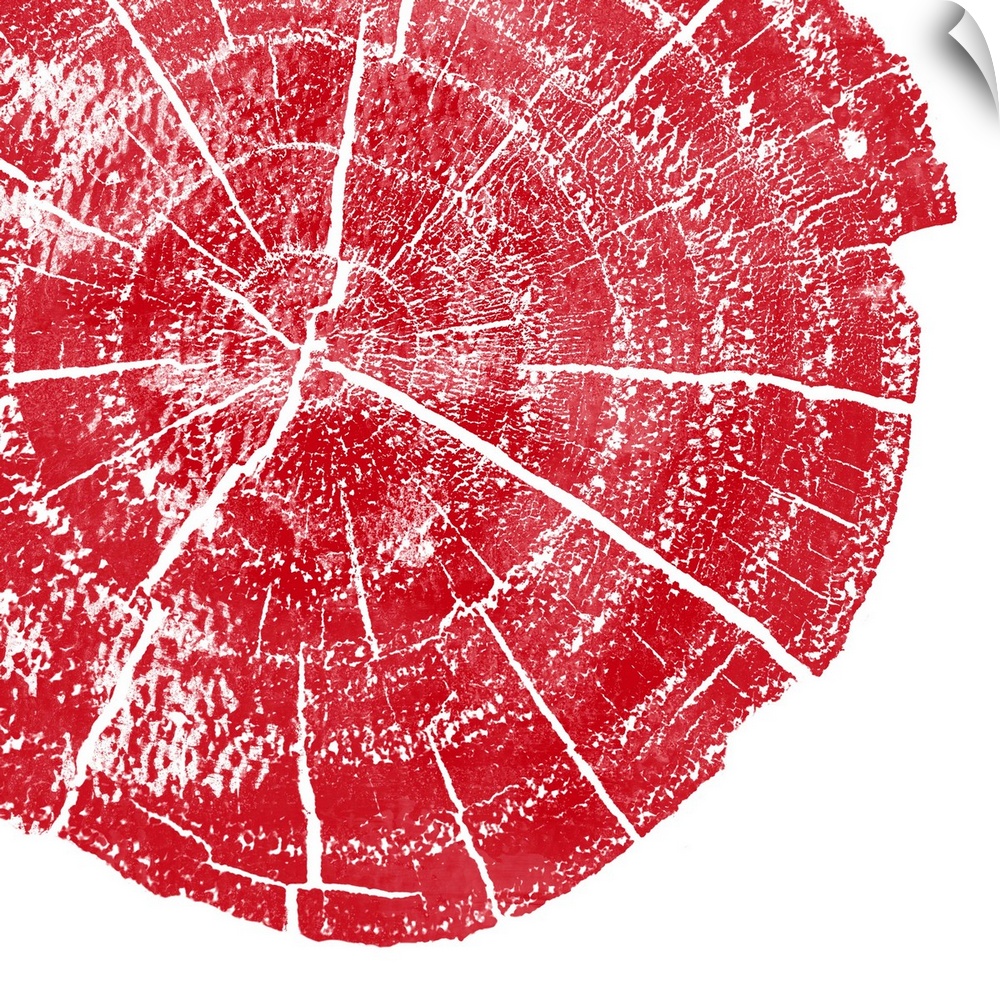 Cross-section of a tree trunk showing the rings in the wood in red.