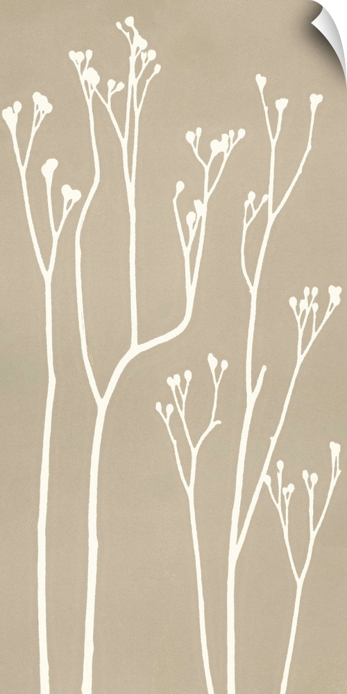 Silhouettes of cocoa plant stems on a beige background.