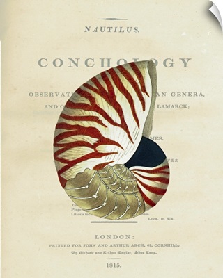Conchology Nautilus