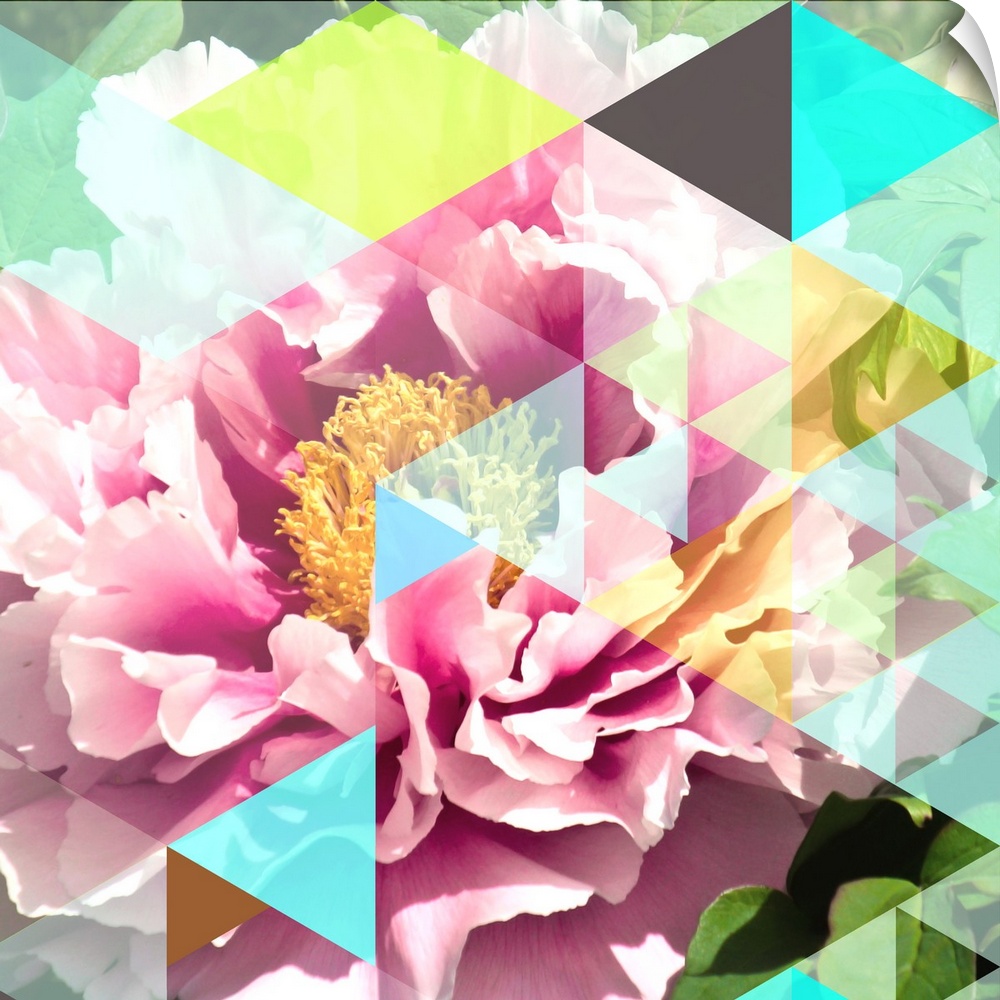 Peonies embellished with a triangular geometric design.