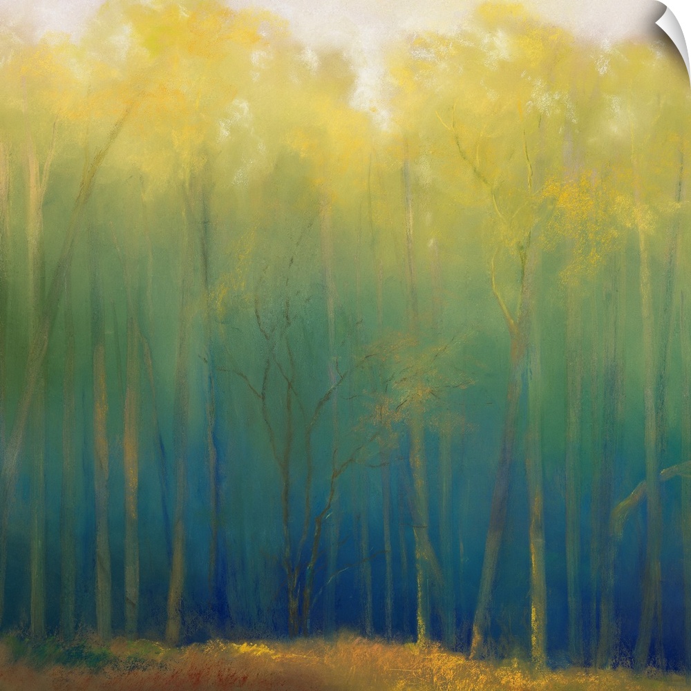 A square contemporary painting of a forest filled with soft light and slender, vertical trees.