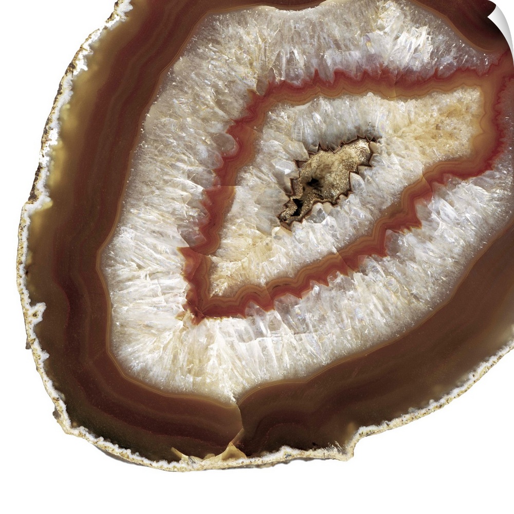 Thin slice of polished agate, showing the natural patterns and colors of the mineral.