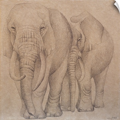 Elefantes en el Papel Dos