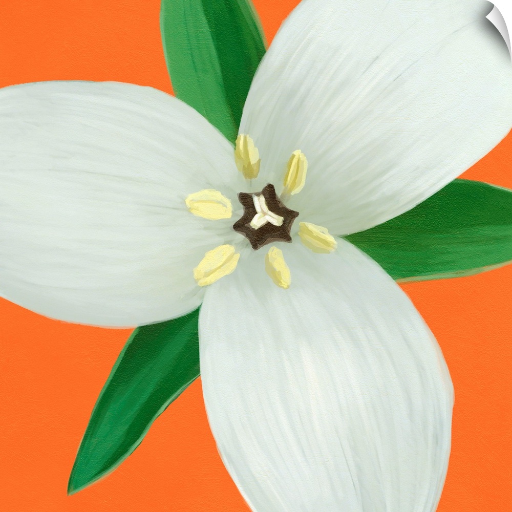 A contemporary painting of a close-up of a white flower against an orange background.