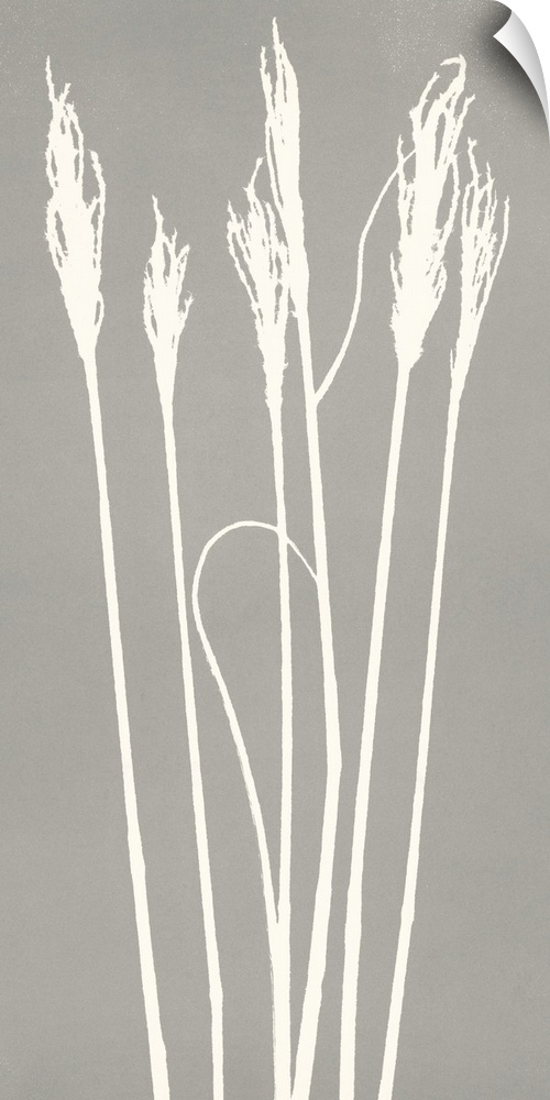 Monoprint image of several wheat stalk silhouettes on a grey background.
