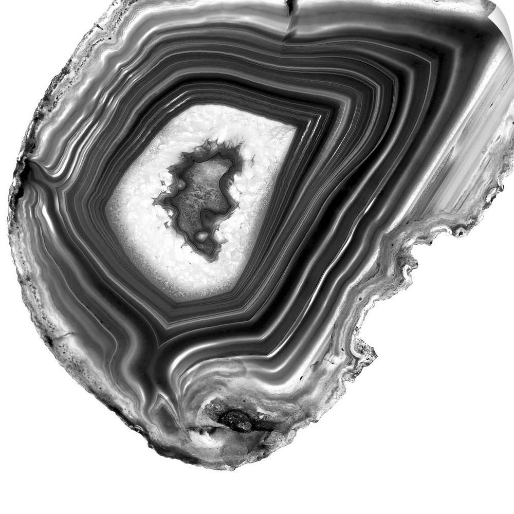 A macro photograph of agate in gray tones.
