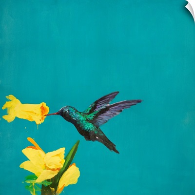 Hummingbird I