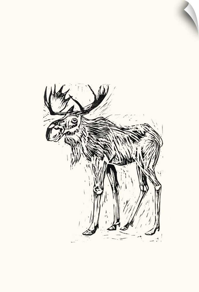 Black and white block print illustration of a moose on an off white background.