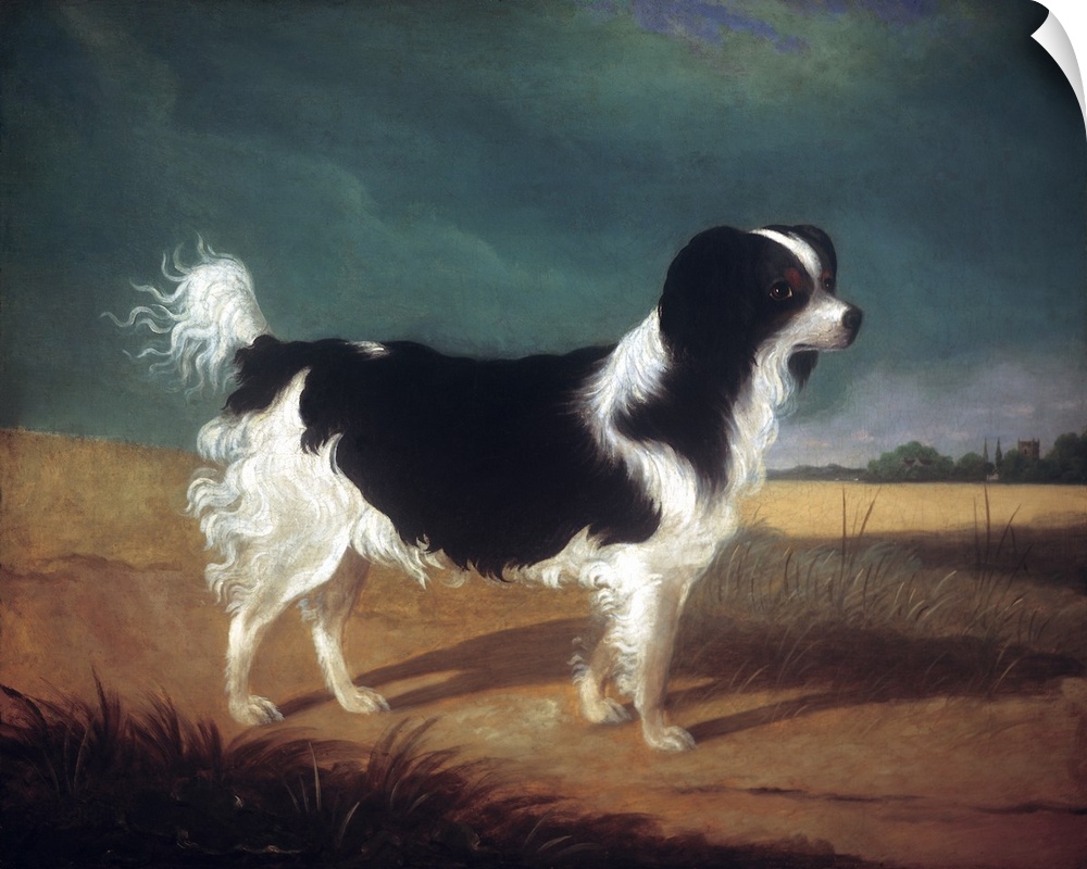 Classic painting of a black and white King Charles Spaniel dog.