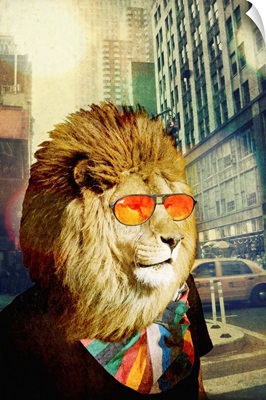 King Lion of the Urban Jungle
