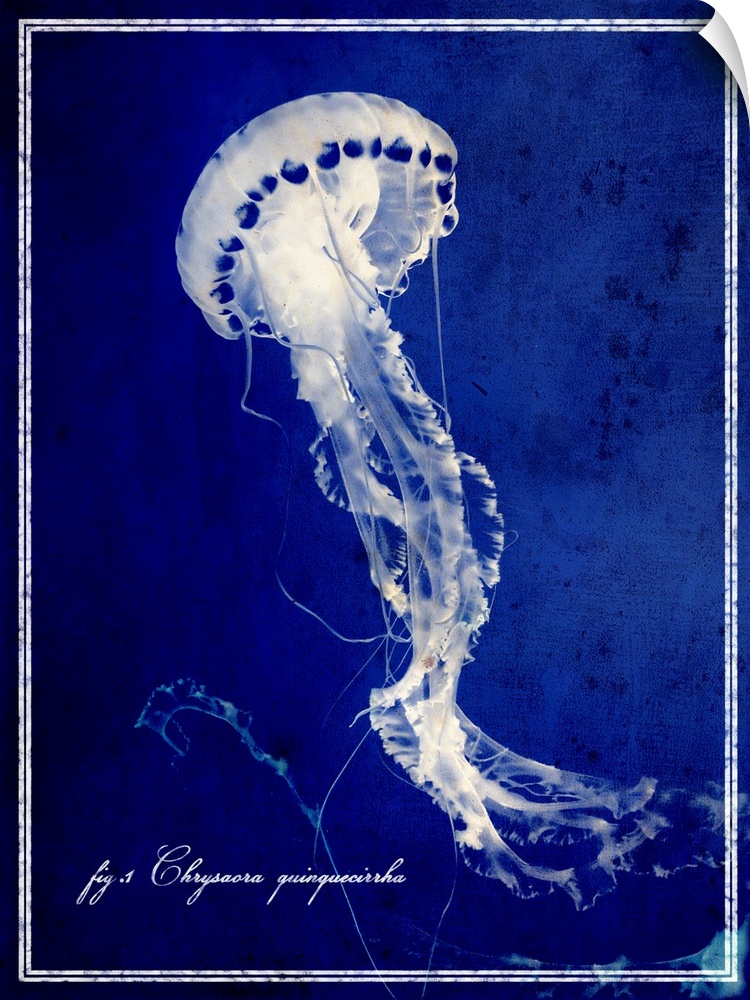 Big vertical wall hanging of a jellyfish on a deep blue background, with script text in the lower corner.