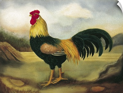 Old English Game Cock