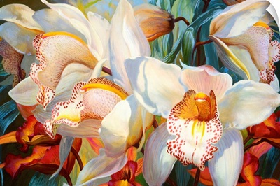 Orchid Fandango