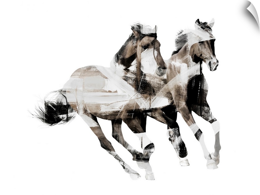 Painted Horses C