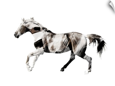 Painted Horses D