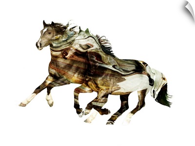Painted Horses F