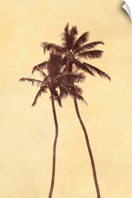Palm Vista I