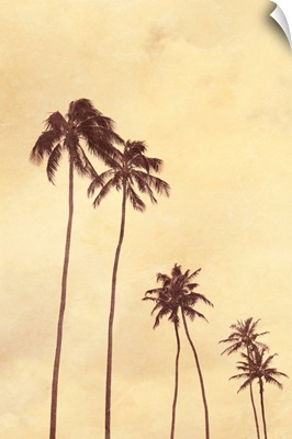Palm Vista III