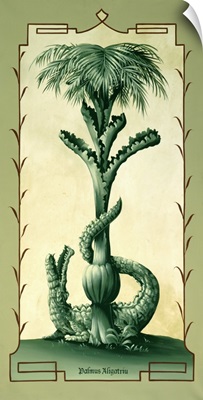 Palmus Arigatriu
