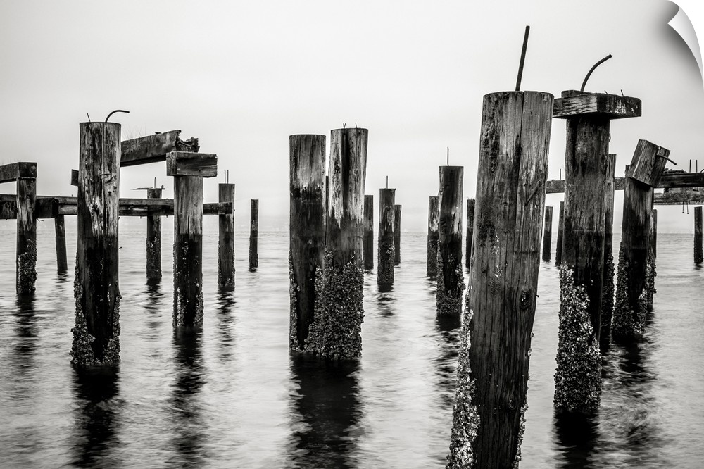 Old pilings on the Puget Sound along Ruston Way in Tacoma, Washington.