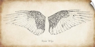 Raven Wings