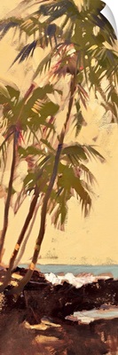 Shoreline Palms