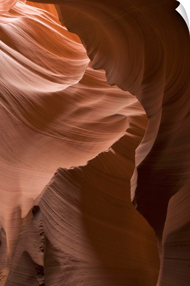 A photograph of a view of the slot canyons of Antelope Canyon in Arizona.