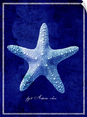 Starfish