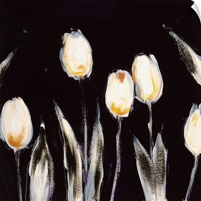 Succulent Tulips
