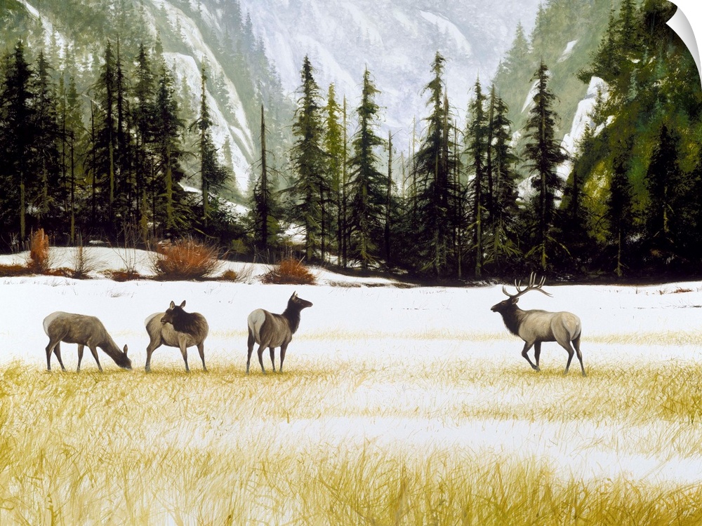 Contemporary painting of four elk in a snowy valley with pine trees and mountains in the background.