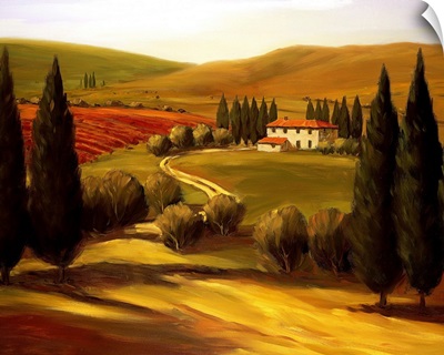 Through the Hills of Tuscany