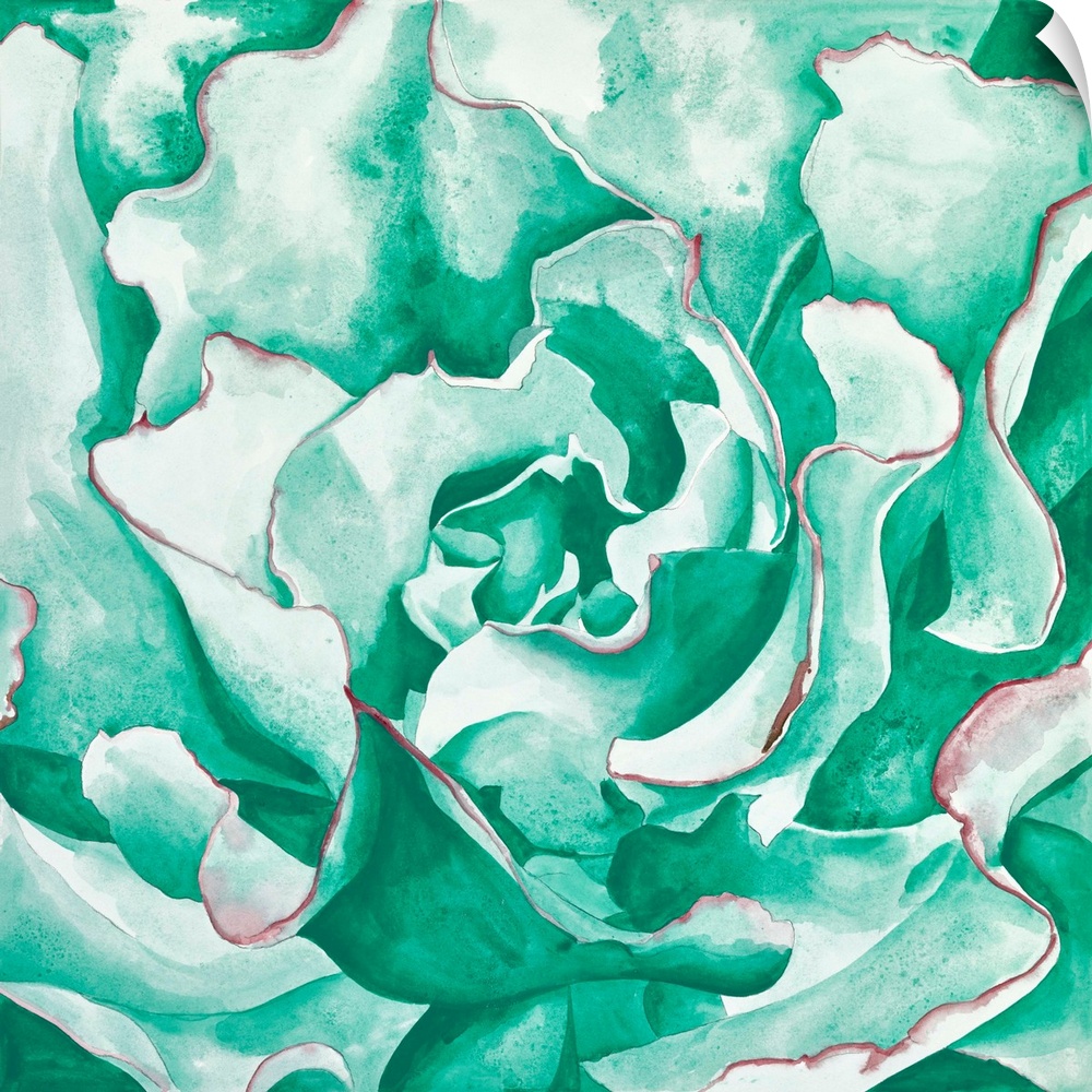 Watercolor painting of a close up succulent in turquoise.