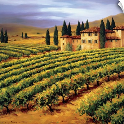 Villa in the Vinyards of Tuscany