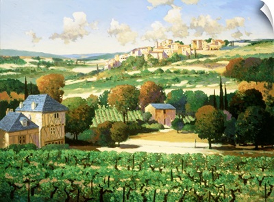 Vineyards of Provence