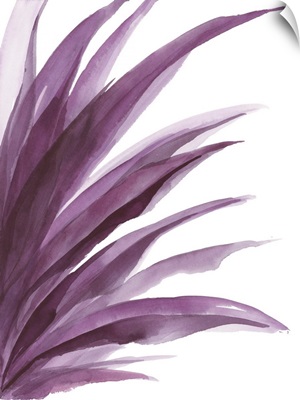 Violet Palms 3