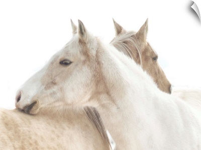 White Horse mendon