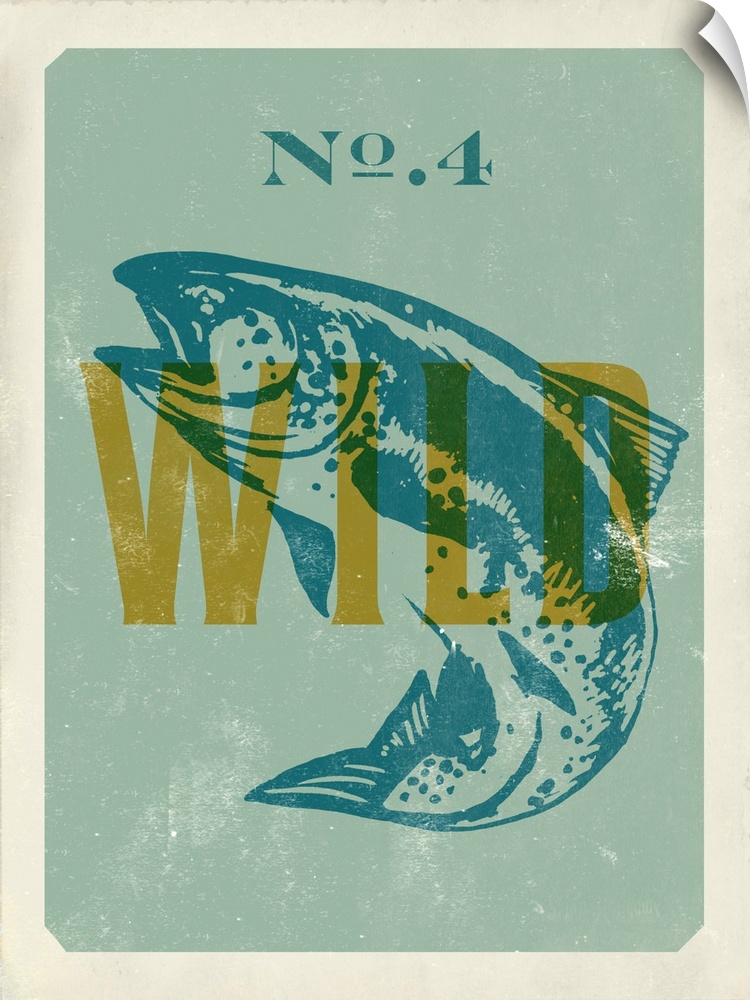 Retro mid-century stylized poster art for wild trout fishing.