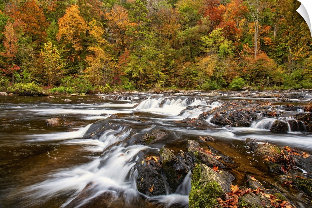 Autumn colors paint the banks along Tennessee's Tellico River, one of the last remaining true wild rivers in the lower App...